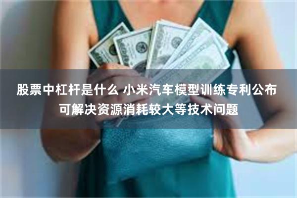 股票中杠杆是什么 小米汽车模型训练专利公布 可解决资源消耗较大等技术问题