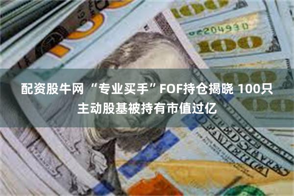 配资股牛网 “专业买手”FOF持仓揭晓 100只主动股基被持有市值过亿