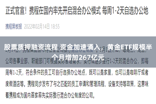 股票质押融资流程 资金加速涌入，黄金ETF规模半个月增加267亿元