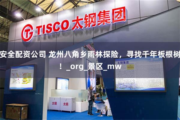 安全配资公司 龙州八角乡雨林探险，寻找千年板根树！_org_景区_mw