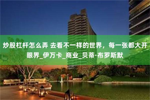 炒股杠杆怎么弄 去看不一样的世界，每一张都大开眼界_伊万卡_商业_贝蒂·布罗斯默