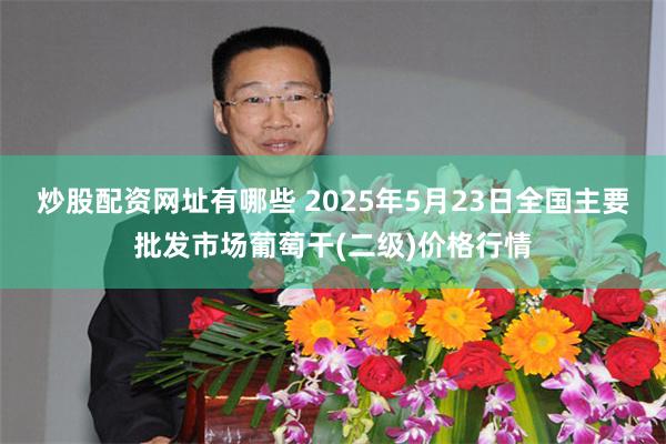 炒股配资网址有哪些 2025年5月23日全国主要批发市场葡萄干(二级)价格行情