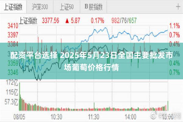 配资平台选择 2025年5月23日全国主要批发市场葡萄价格行情