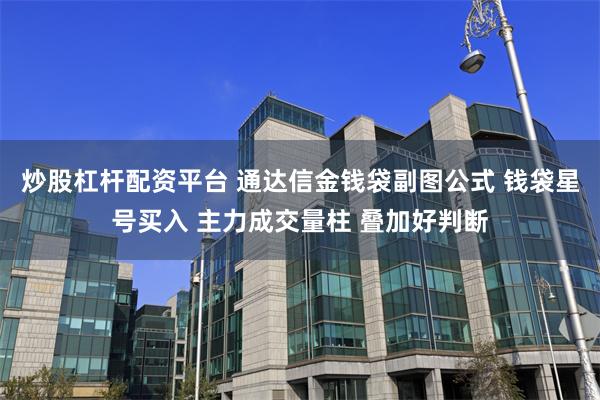 炒股杠杆配资平台 通达信金钱袋副图公式 钱袋星号买入 主力成交量柱 叠加好判断